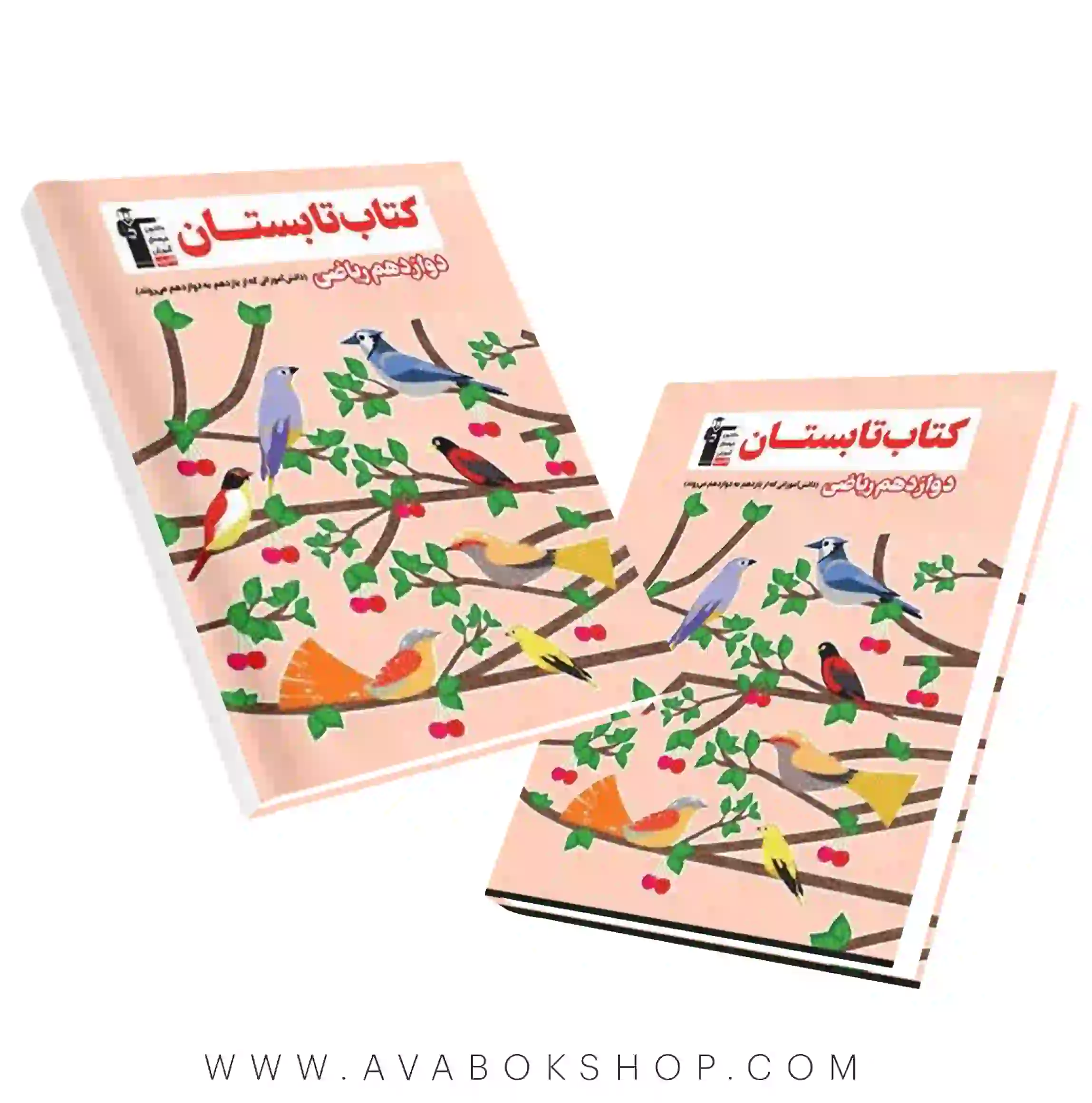 کتاب تابستان دوازدهم ریاضی قلم چی