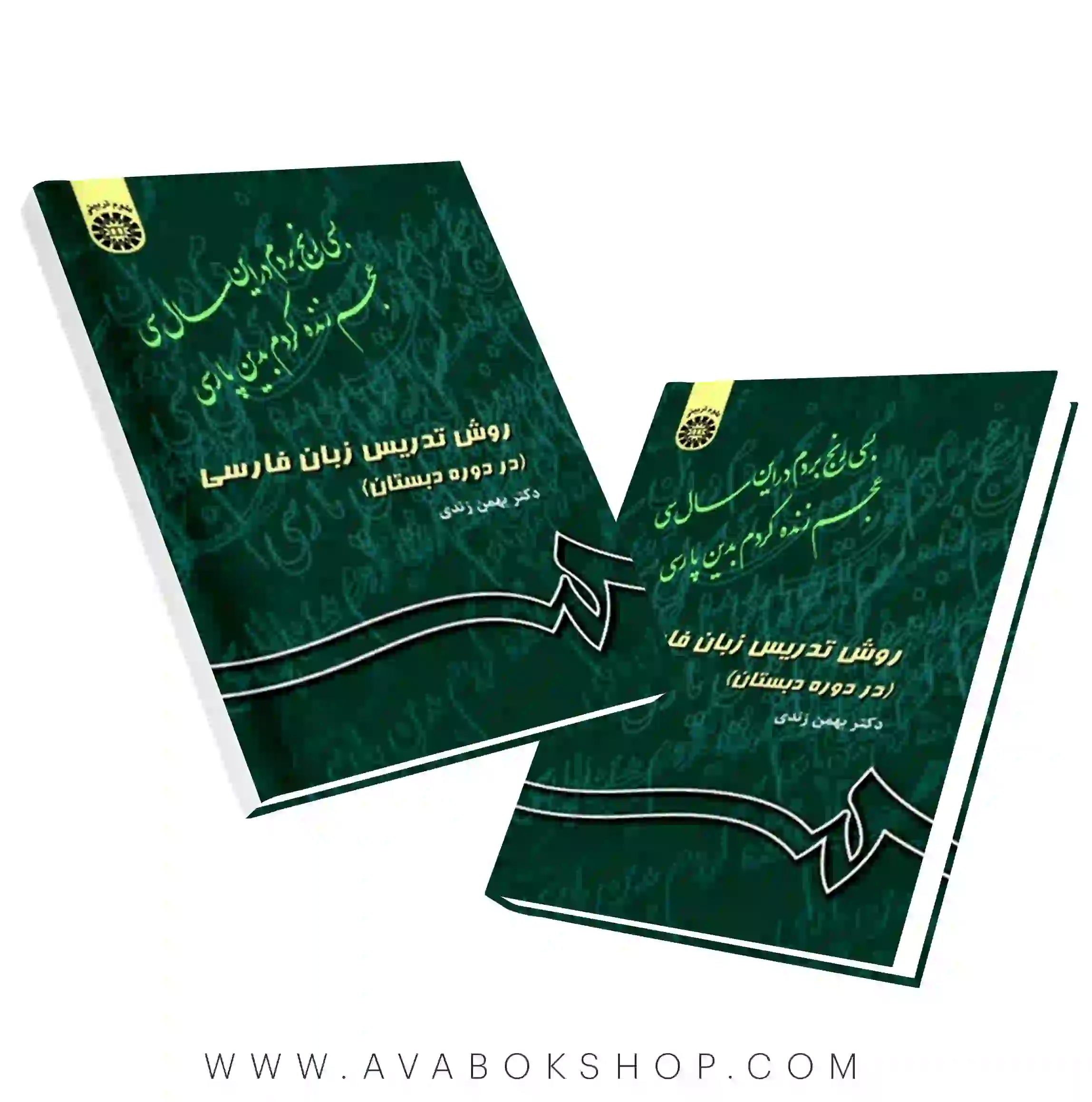 کتاب روش تدریس زبان فارسی در دوره دبستان بهمن زندی انتشارات سمت