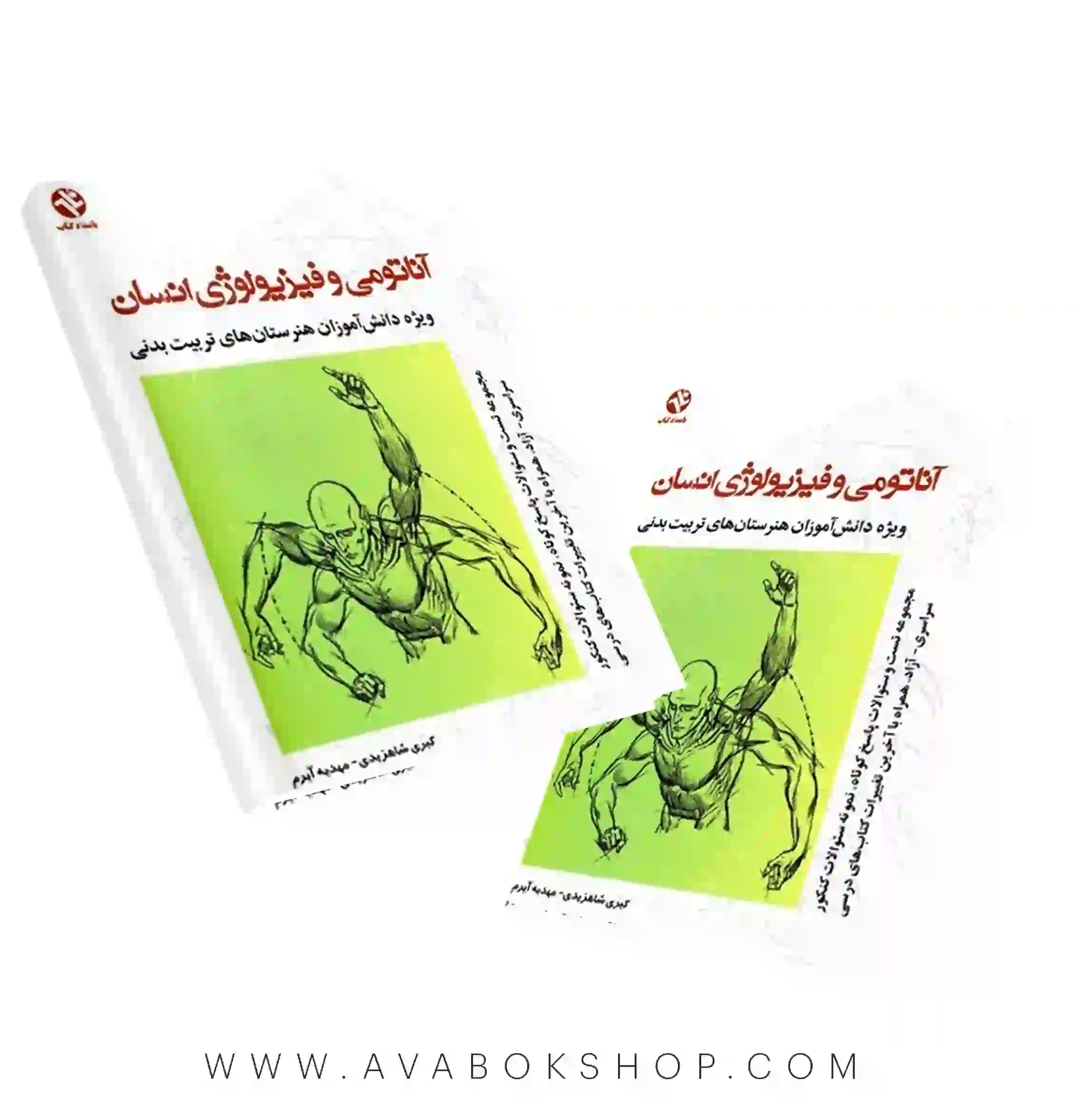 کتاب آناتومی و فیزیولوژی انسان بامداد کتاب