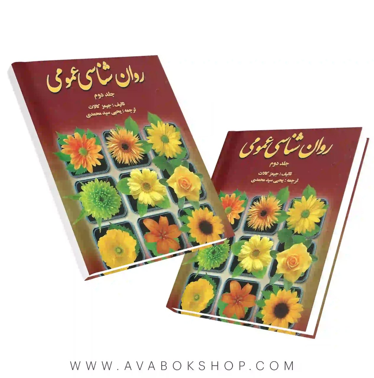 کتاب روان شناسی عمومی کالات انتشارات روان جلد دوم