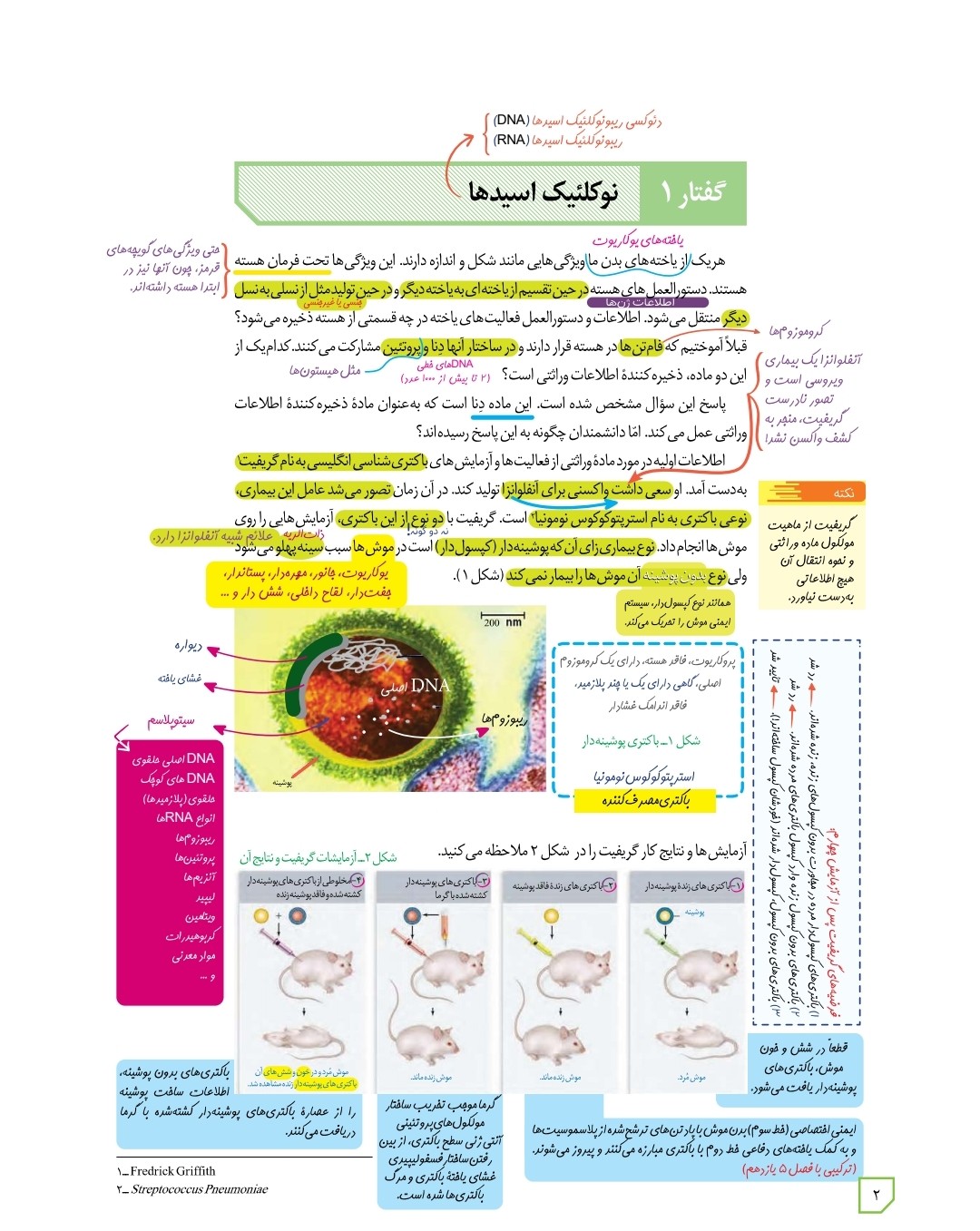 کتاب درسی زیر ذره بین زیست شناسی دوازدهم کاپ - Image 2