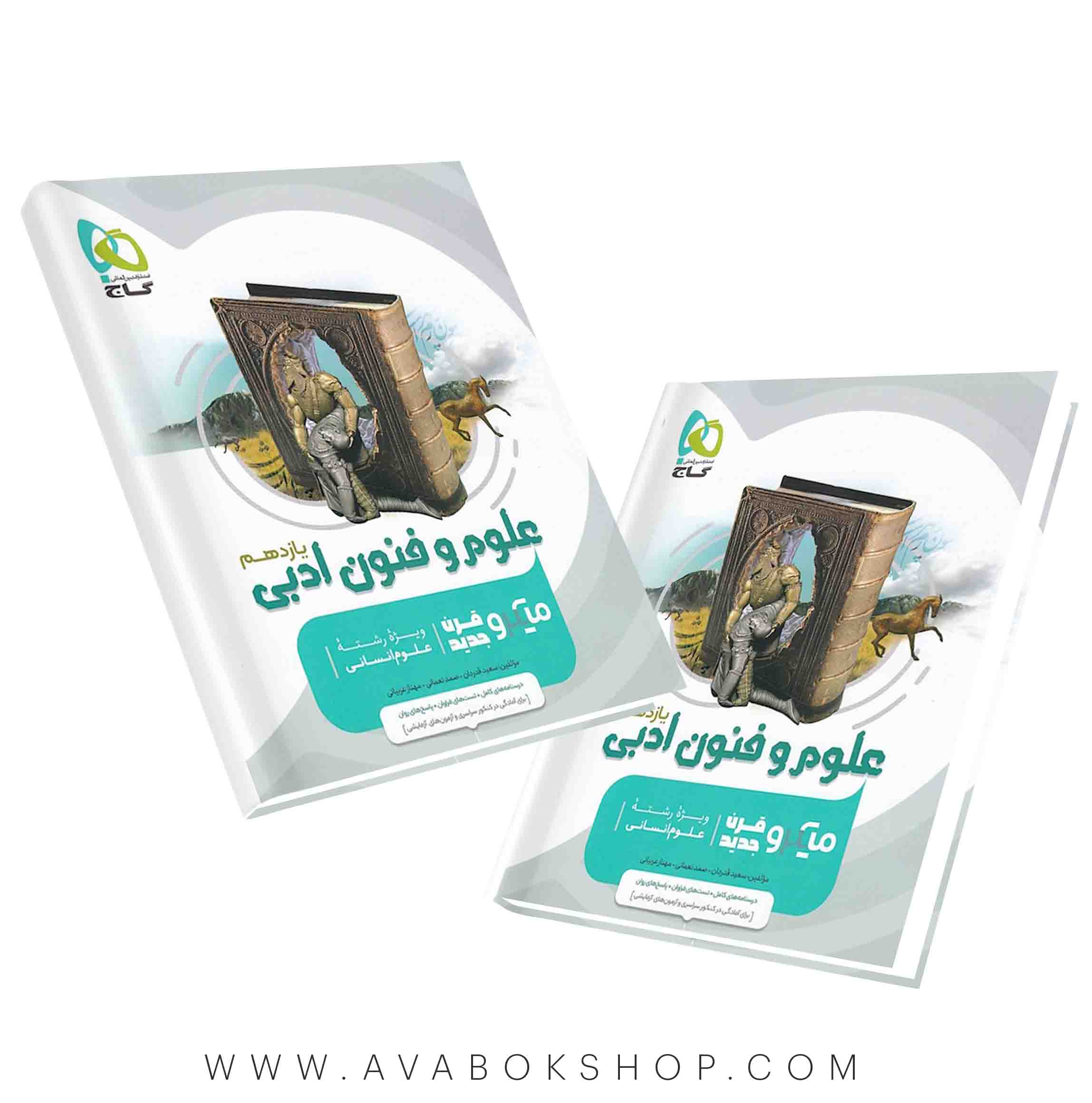 کتاب علوم و فنون ادبی یازدهم میکرو گاج